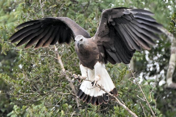 Bundala Birding Paradise - All Inclusive Tour - Who Should Consider This Tour?