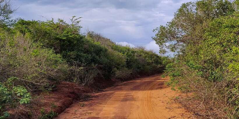 Bundala National Park: 3-Hour Morning or Evening Safari - The Sum Up