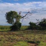 Bundala National Park Private Safari - FAQ