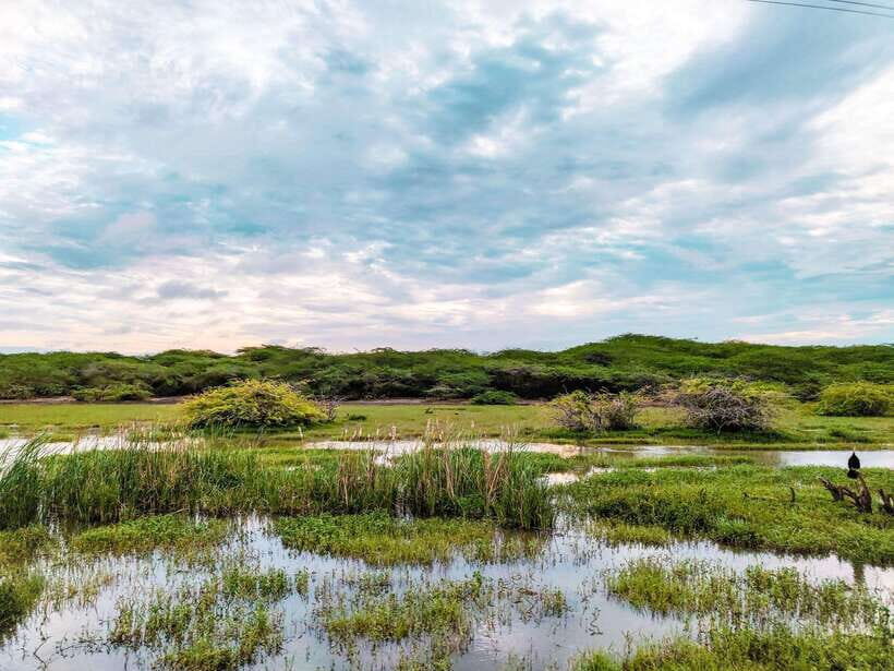 Bundala National Park Private Safari from Tangalle - What Makes This Tour Stand Out