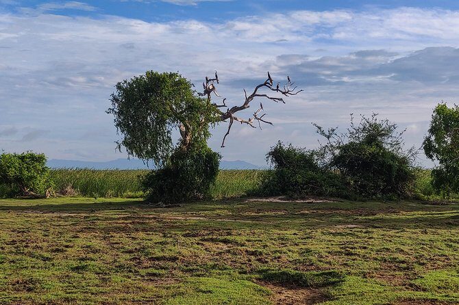 Bundala National Park Private Safari - FAQ