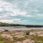 Bundala National Park Safari from Weligama - In-Depth Review of the Bundala Safari Experience