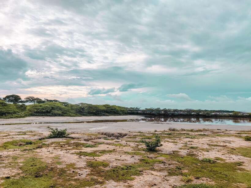 Bundala National Park Safari from Weligama - In-Depth Review of the Bundala Safari Experience