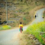 Bus from Hanoi to Ha Giang & Bus Ha Giang to Hanoi - All Inclusive - Why This Tour Offers Good Value