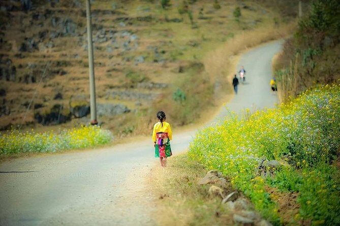 Bus from Hanoi to Ha Giang & Bus Ha Giang to Hanoi - All Inclusive - Why This Tour Offers Good Value