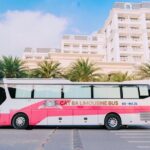 Bus Ha Noi to Cat Ba island - The Final Verdict: Who Will Love This Service?