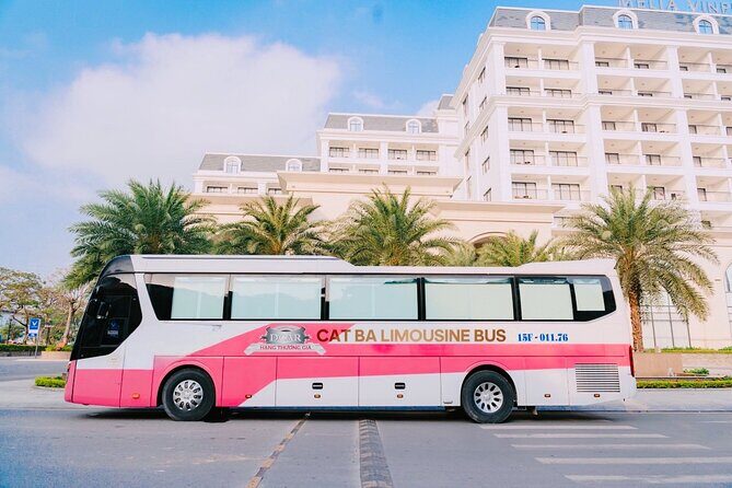 Bus Ha Noi to Cat Ba island - The Final Verdict: Who Will Love This Service?