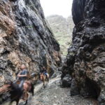 Bus tour to visit Gobi 4 day - Authentic Encounters and Practical Details