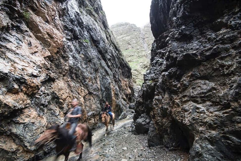 Bus tour to visit Gobi 4 day - Authentic Encounters and Practical Details