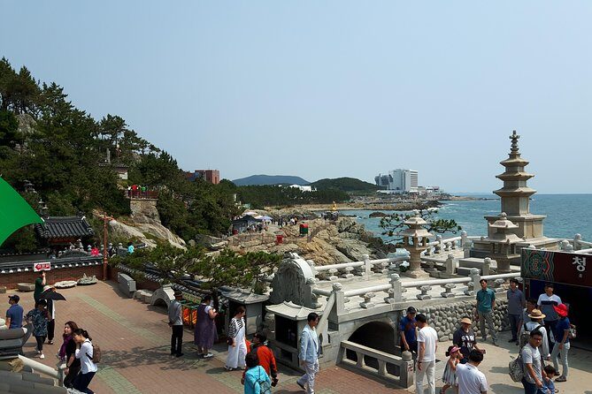 Busan city tour from Seoul by KTX bullet train - Who Will Love This Tour?