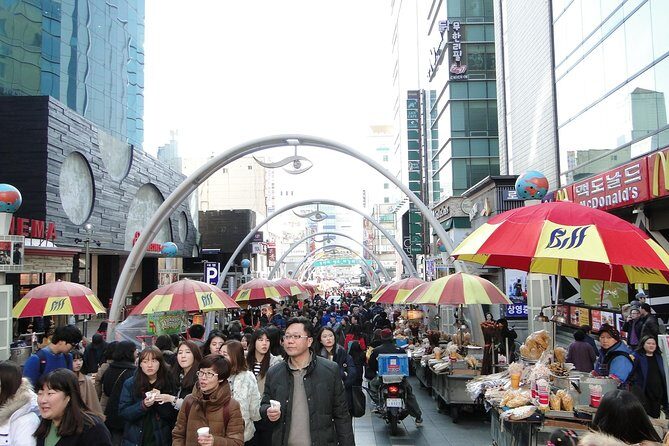 Busan City Tour Including Gamcheon Culture village and Haedong Yonggungsa Temple - Who Will Appreciate This Tour?