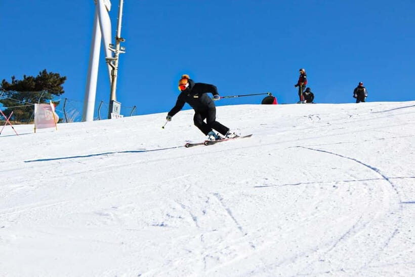 Busan: Eden Valley Resort Winter Ski Snowboard Sled Day Tour - What Makes This Tour Special?
