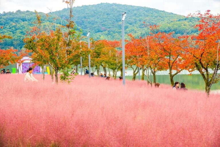Busan: Gyeongju Autumn Foliage Day Tour with Historic Sites - What’s Included and What’s Not