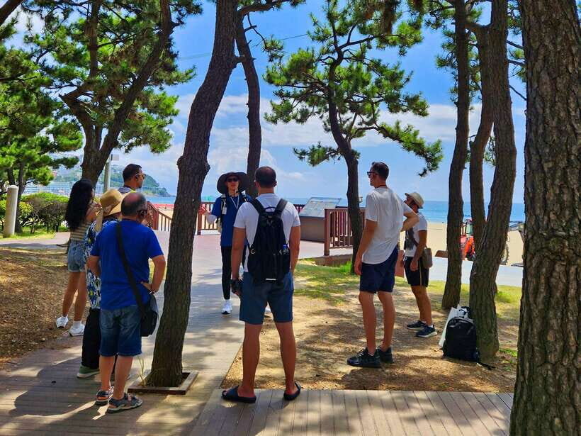 Busan: Haeundae 100-Minute Walking Tour - An In-Depth Look at the Haeundae Walking Tour