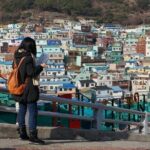 Busan Like a Local: Customized Private Tour - Who Will Love This Tour?