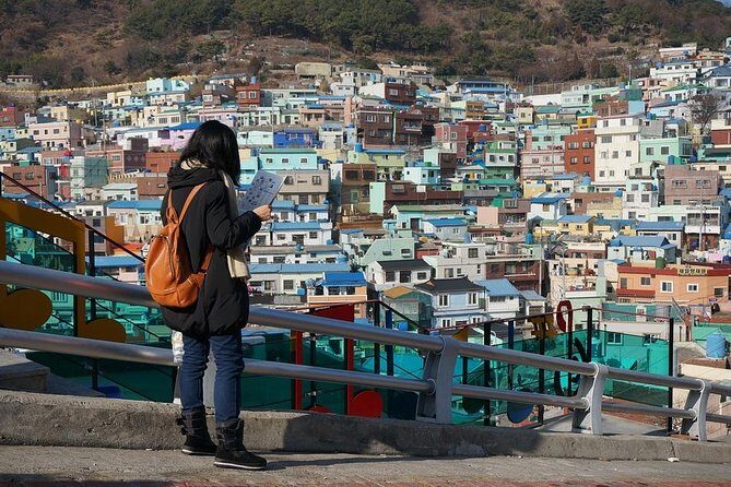Busan Like a Local: Customized Private Tour - Who Will Love This Tour?