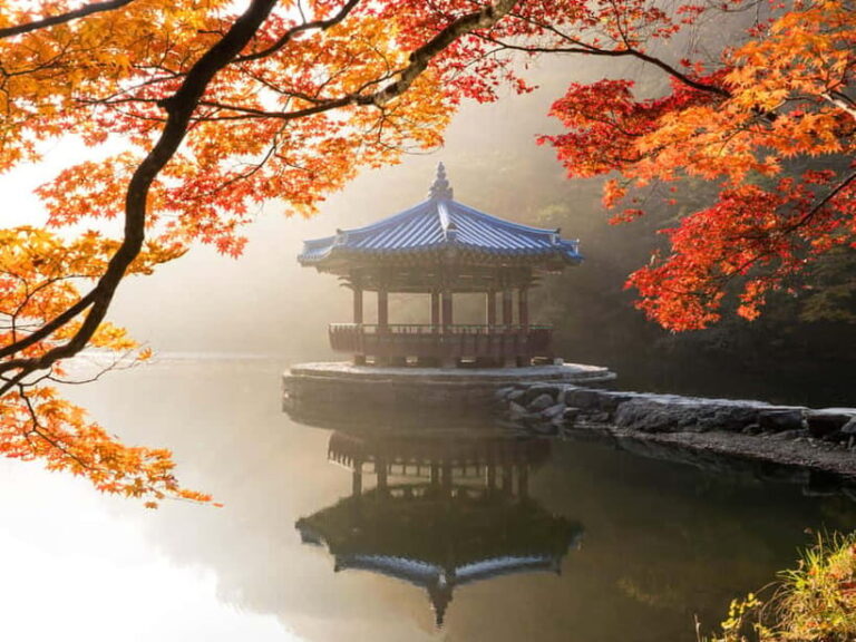 Busan: Naejangsan National Park Autumn Foliage One Day Tour - What Makes This Tour Special?