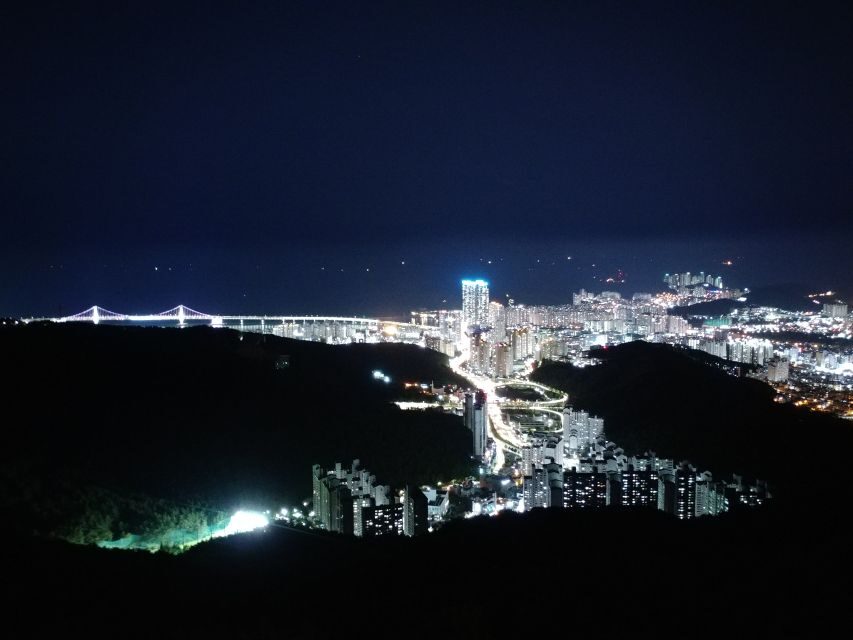 Busan: Night Viewpoints with Evening Cruise w/ Fireworks - Why Is This Tour Worth Considering?