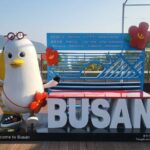 Busan Private Tour with an official tour guide - The Practicalities: What You Get and What You Pay For