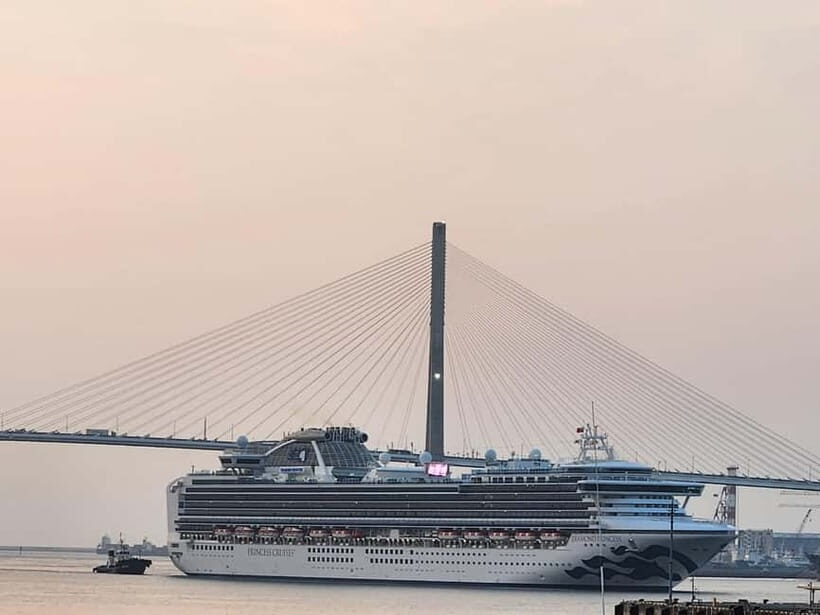 Busan shared Tour for Cruise ship passengers (Max 15 guests) - Who Will Love This Tour?