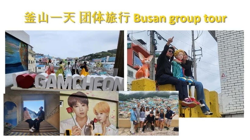 Busan shared Tour for Cruise Ship Passengers Max 15 guests - Who Would Enjoy This Tour?