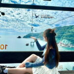 Busan: Sightseeing Tour for Cruise Passengers - Frequently Asked Questions