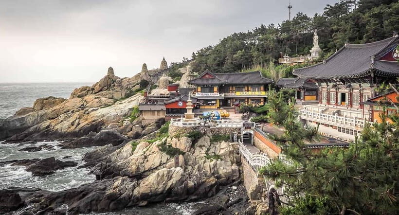 Busan Tour with Gamcheon Village & haedong yonggungsa temple - Who Is This Tour Best For?
