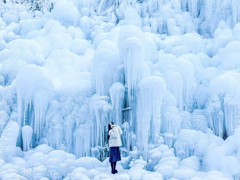 Busan: Winter Healing Park and (Gyeongju/Daegu) One Day Tour - Who Should Consider This Tour?