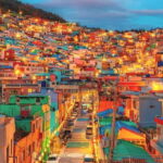 Busan: Your Private Custom Tour  Half/Full - What Makes This Tour Special?