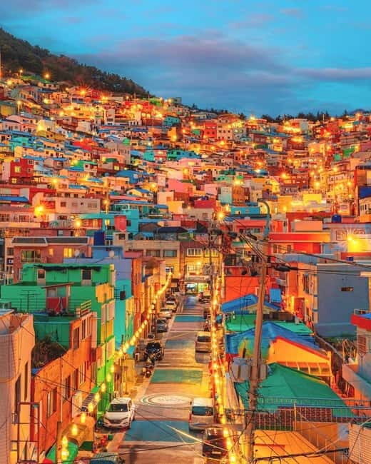 Busan: Your Private Custom Tour Half/Full - What Makes This Tour Special?