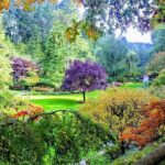 Butchart Gardens and City Highlights Private tour - Why this Tour Stands Out