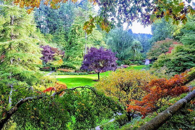 Butchart Gardens and City Highlights Private tour - Why this Tour Stands Out