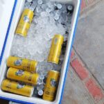 Cabo Airport to LA PAZ SHUTTLE - Detailed Breakdown: Why This Shuttle Might Be the Best Choice