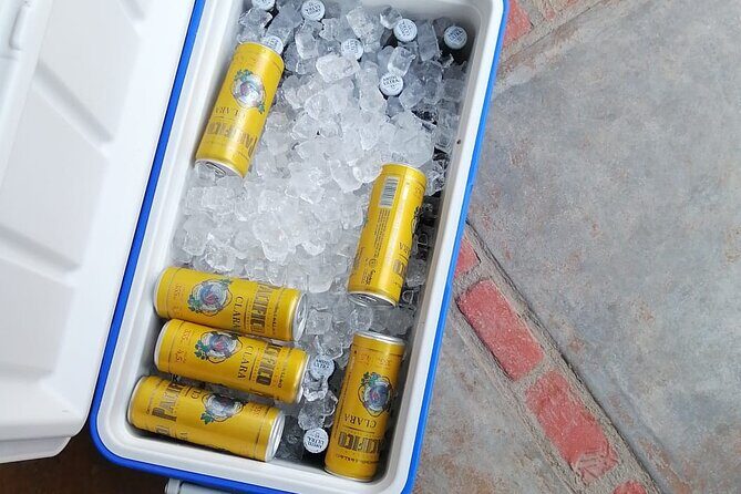 Cabo Airport to LA PAZ SHUTTLE - Detailed Breakdown: Why This Shuttle Might Be the Best Choice