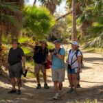 Cabo birding | Bird watching at bird sanctuary - The Experience from a Bird Enthusiast’s Perspective
