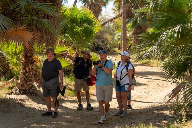 Cabo birding | Bird watching at bird sanctuary - The Experience from a Bird Enthusiast’s Perspective