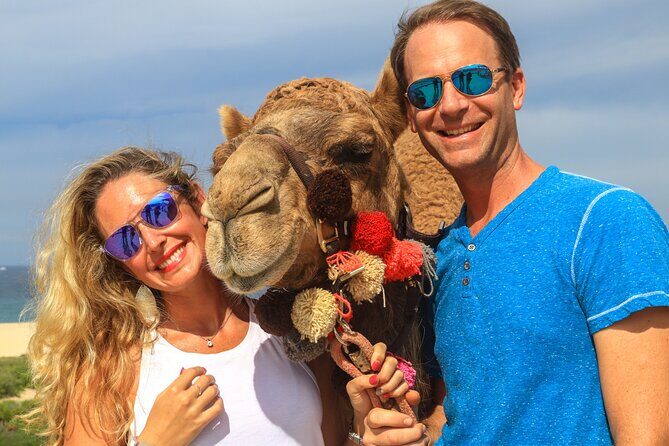 Cabo Camel Ride Experience - An In-Depth Look at the Cabo Camel Ride Experience