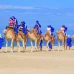 Cabo Camel Ride, Mexican Buffet and Tequila Tasting - Final Thoughts: Who Should Book This Tour?