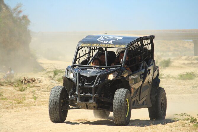 Cabo Migrino Beach & Desert Tour (Quad UTV) - Authenticity and Local Insights