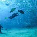 Cabo Pulmo 2 Tank Certified Dive with Lunch - Frequently Asked Questions