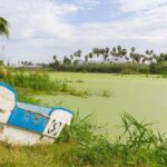 Cabo San Lucas and San Jose del Cabo Sightseeing Tour - Authenticity and Value