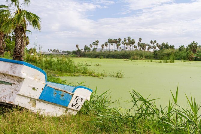 Cabo San Lucas and San Jose del Cabo Sightseeing Tour - Authenticity and Value