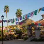 Cabo San Lucas Arch Cruise and Shopping Tour - Who is This Tour Best For?