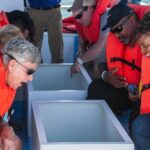 Cabo San Lucas Boat Tour - Final Thoughts: Is It Worth It?