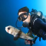 Cabo San Lucas Certified 2 Tank Dive at the Famous Arch and Land's End - A Closer Look at the Itinerary and Experience