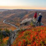Cabot Trail Bus Tour for Cruise Excursion - A Deep Dive into the Experience