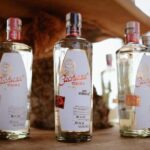 Cachasol Raicilla and Tequila Tour - Who Should Consider This Tour?