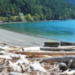 Cafes and Kayaks: Full Day Kayaking Adventure on Orcas Island - An In-Depth Look at the Orcas Island Kayaking Day