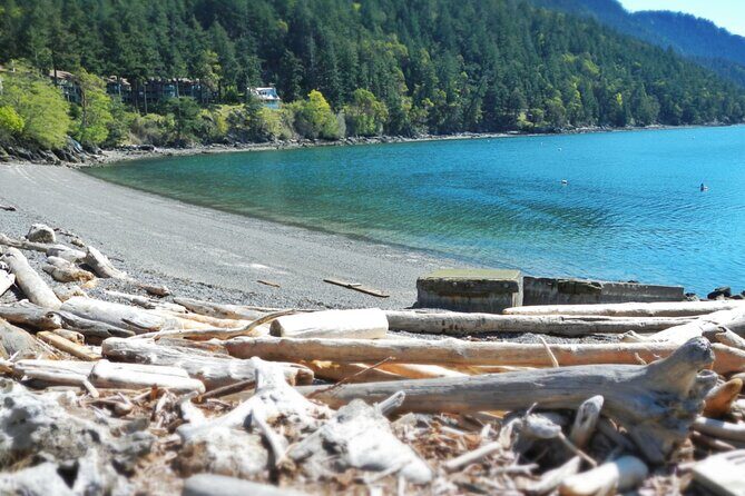 Cafes and Kayaks: Full Day Kayaking Adventure on Orcas Island - An In-Depth Look at the Orcas Island Kayaking Day