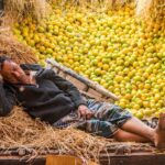 Calcutta Contrast Tour - What to Expect: A Detailed Breakdown